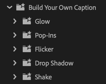 Premium Text Caption FX